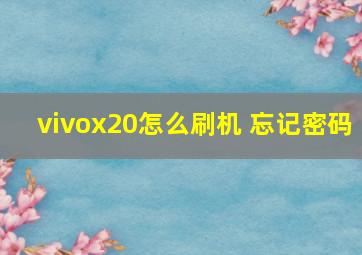 vivox20怎么刷机 忘记密码